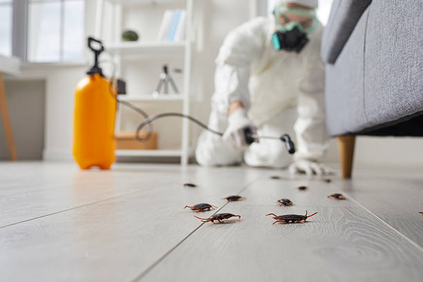 Commercial Kitchen Cockroach Control in Gahanna